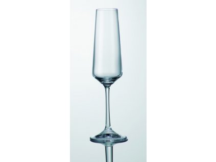 511 sklenice naomi na sampanske