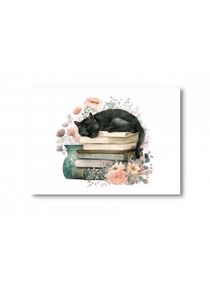 Pohlednice Spící černá kočka na knihách