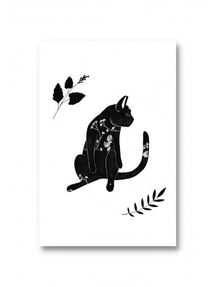 Pohlednice Květinová černá kočka