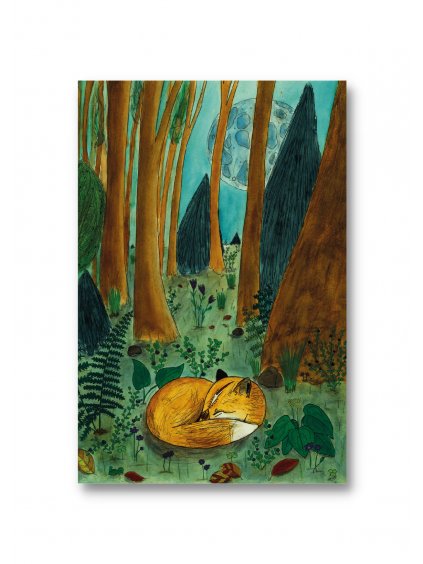 Pohlednice Spící liška v lese