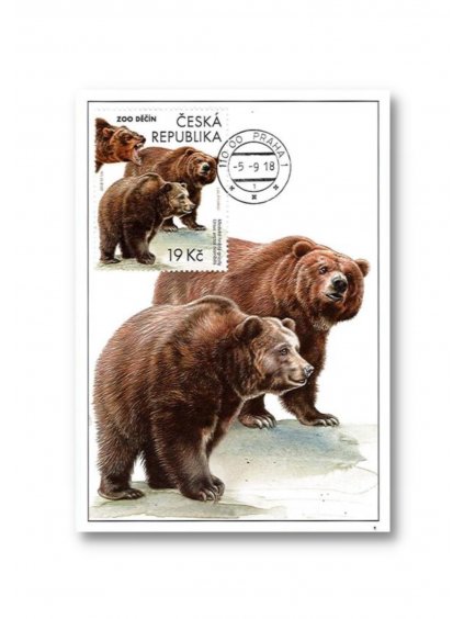 Pohlednice Cartes maximum ZOO Děčín Medvěd hnědý grizzly