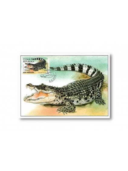 Pohlednice Cartes maximum ZOO Protivín Krokodýl filipínský