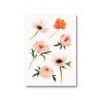Samolepková pohlednice Zahrada snů, růžové květy