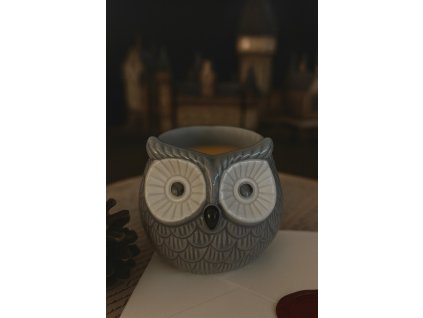 01A83C63 58C9 4DB8 B21E 3670B57CA719