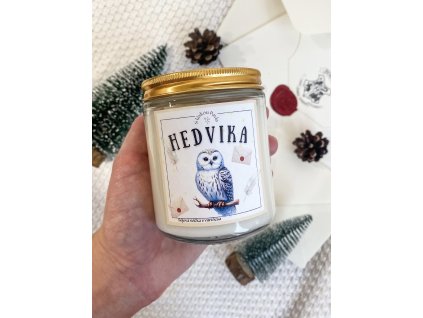 Sójová svíčka Hedvika s vůni borovice a jehličí, inspirovaná Harry Potterem, ručně vyráběná, skleněná dóza.