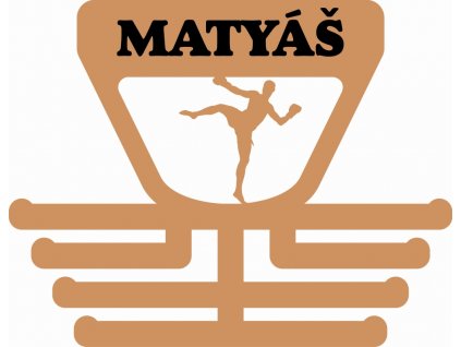 dřevěný držák na medaile pro bojovníka kickboxu