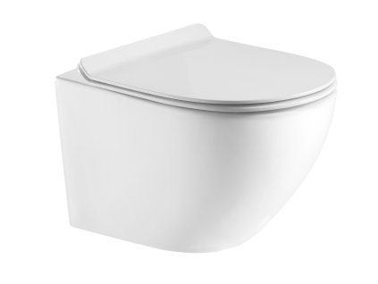 Závěsné WC ARCO RIMLESS se SLIM sedátkem Soft-close