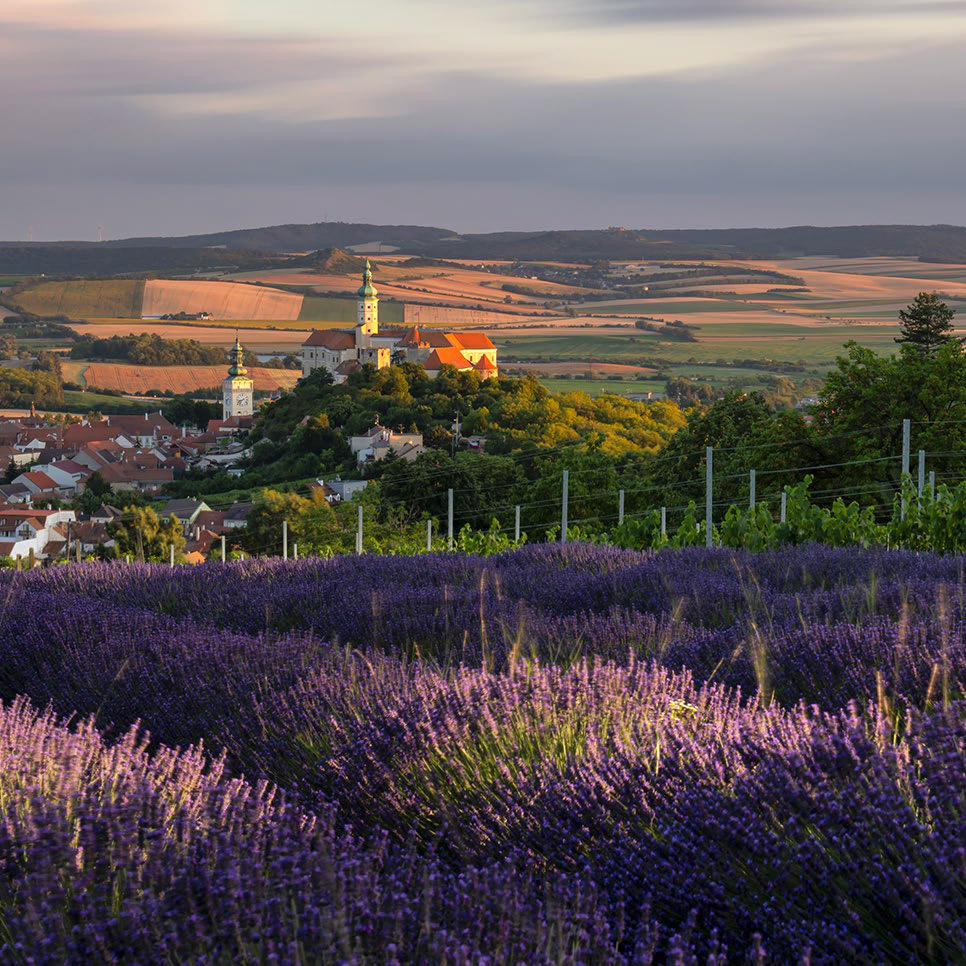 Mikulov a Pálava – český výrobce lůžkovin Every