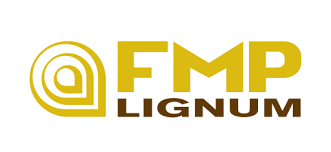 fmp