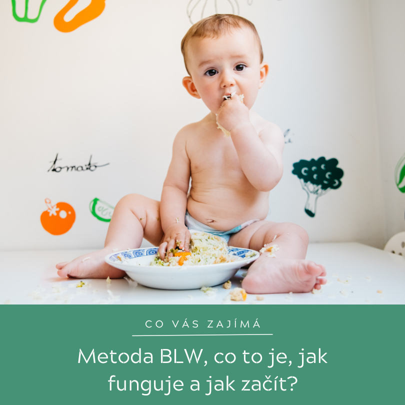 Metoda BLW, co to je, jak funguje a jak začít?