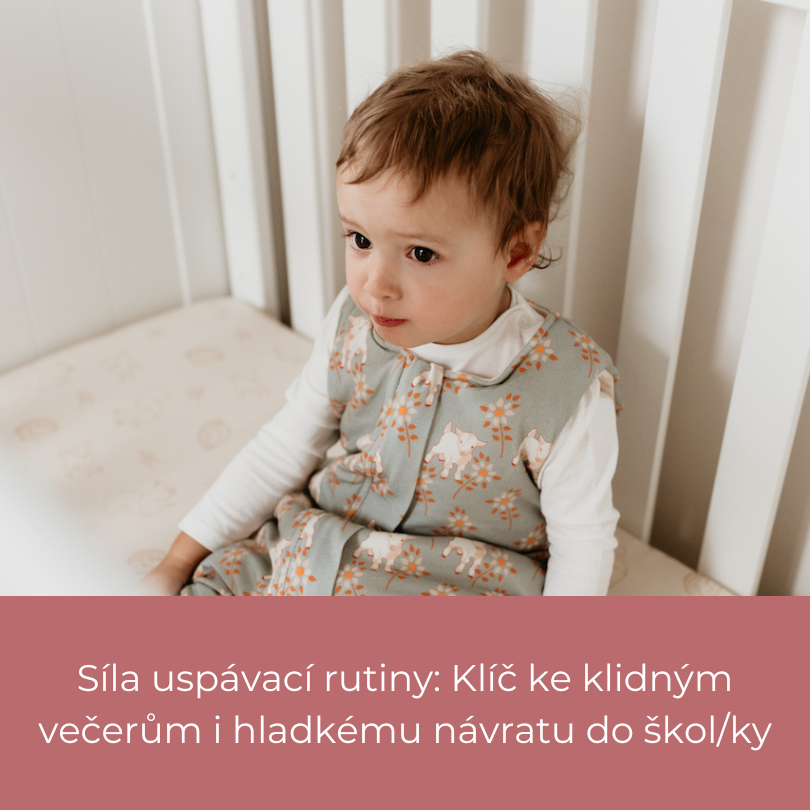 Síla uspávací rutiny: Klíč ke klidným večerům i hladkému návratu do škol/ky