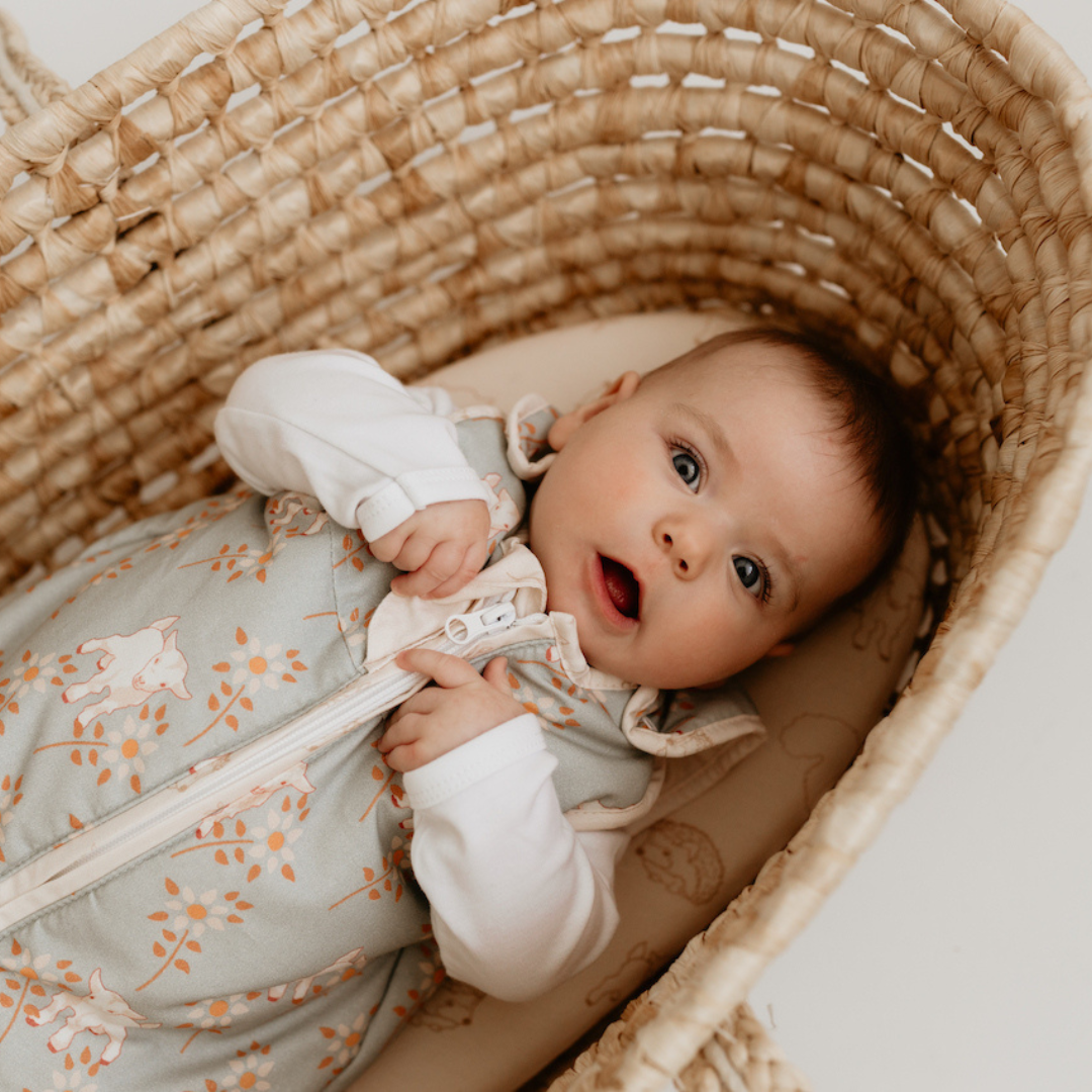 Mojžišov košík pre bábätko – praktickosť aj dizajn