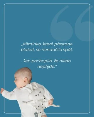 V posledních dnech se opět více otevírá téma spánkového tréninku. A proto si myslíme, že je důležité postavit se na stranu...