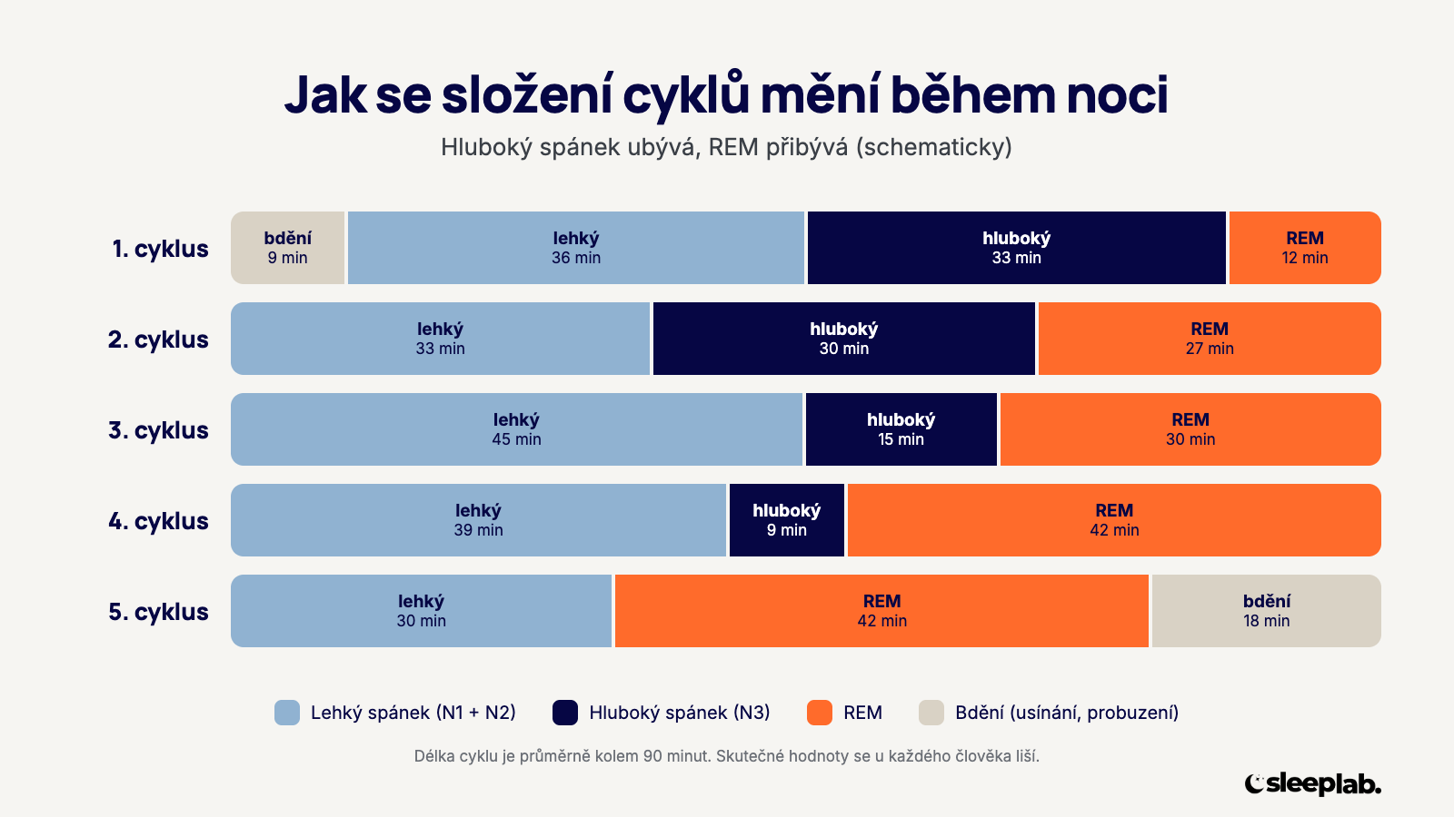 Složení spánkových cyklů během noci: hlubokého spánku ubývá, REM spánku přibývá
