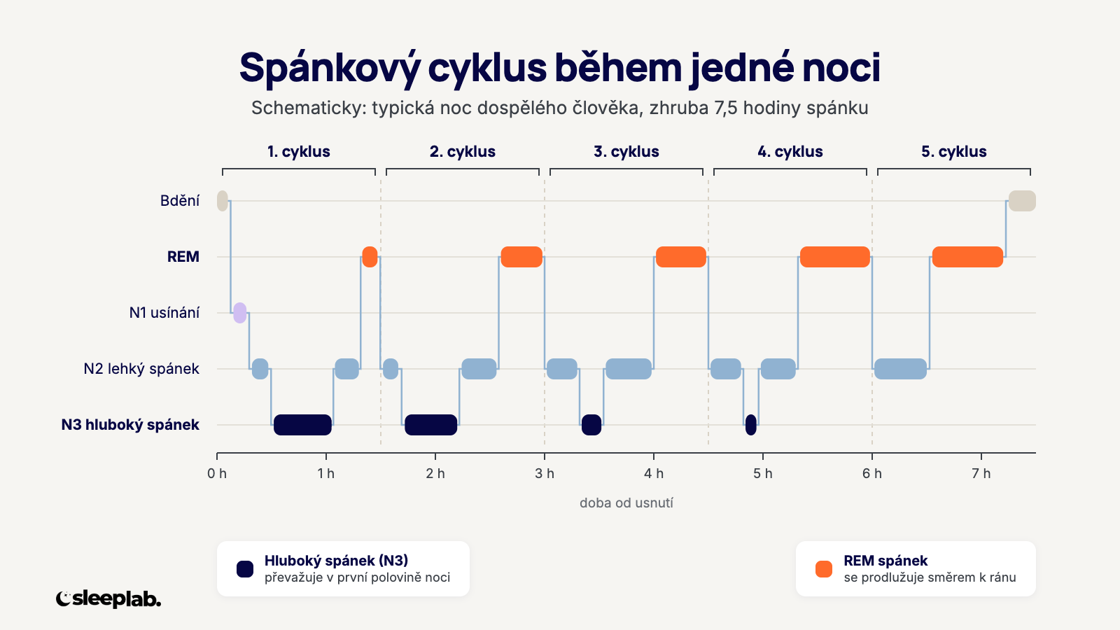 Graf spánkového cyklu během jedné noci: fáze spánku N1, N2, N3 a REM v pěti cyklech