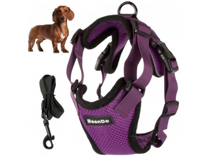 Suspender without pressure walking harness for small dog handle light soft strong m