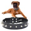 Studded dog collar eco leather adjustable l