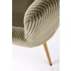 35658 7 calounene kreslo ashton olivove