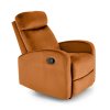 38115 relaxacni kreslo raymond skoricove