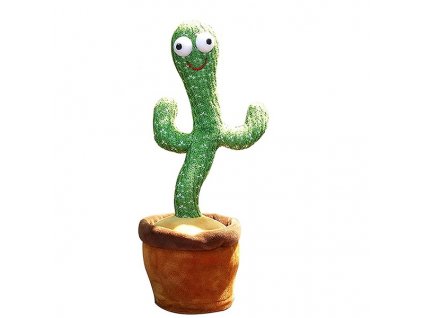 kaktus 1 foto
