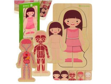 Puzzle drewniane warstwowe budowa ciala montessori dziewczynka 149414