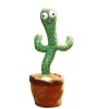 kaktus 1 foto