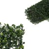umely zivy plot buxus 2