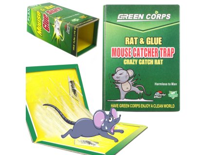 59900 lepova past na mysi 31 cm efektivni past pro domacnosti