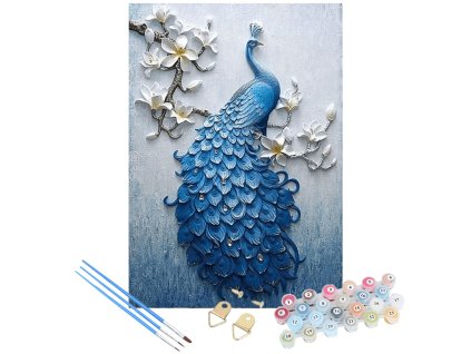 Malování podle čísel 30x40cm - Páv