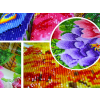 51887 1 sada pro diamantove malovani 30 x 40 lev