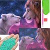 51887 sada pro diamantove malovani 30 x 40 lev