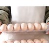65070 2 eng pl egg box fridge feeder for 14pc eggs universal 6189 4