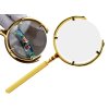 69622 2 eng pl reading magnifying glass manual magnifying glass gold magnification 6x 7019 15