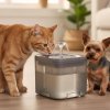 Poidelko fontanna dla psa kota zwierzat automatyczne poidlo USB 2l filtr czyszczacy 178691