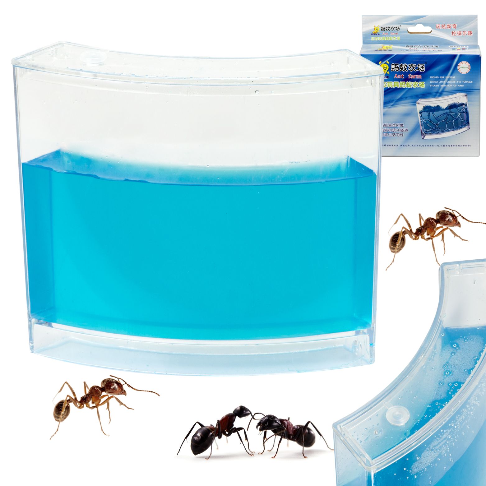 Levně KIK KX7698 Mravenčí akvárium Ant Quarium Domácí mraveniště Blue