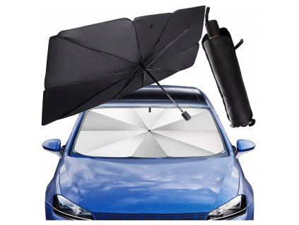 clona auto slunecni destnik 2