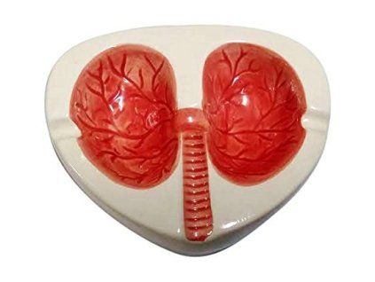 vyr 6715 Keramicky popelnik Plice 2