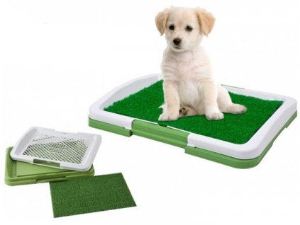 pack 6 bano ecologico mascotas perros potty pad almayor D NQ NP 1081 MLC4141647012 042013 F