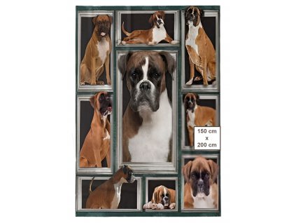 boxer 01