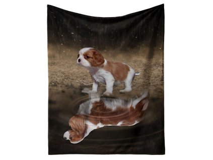 kingcharles spaniel 01