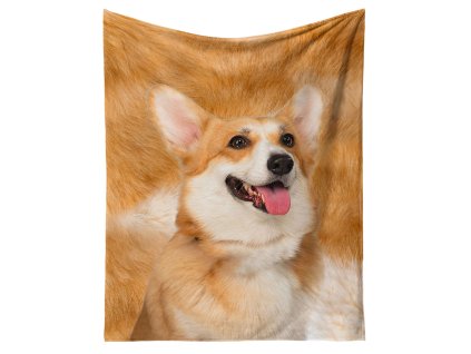 Corgi 01