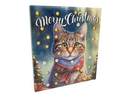 Adventní kalendář pro kočky