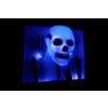 Svítící lebka s hnáty 00