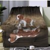 kingcharles spaniel 02