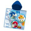 sonic svet modr 01