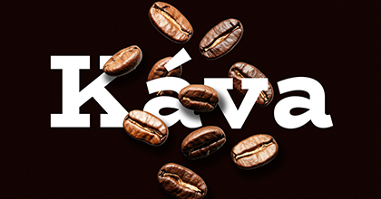 Káva