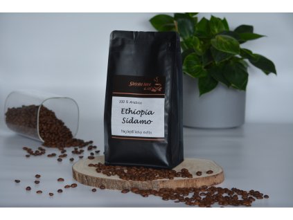 Ethiopia Sidamo (1)