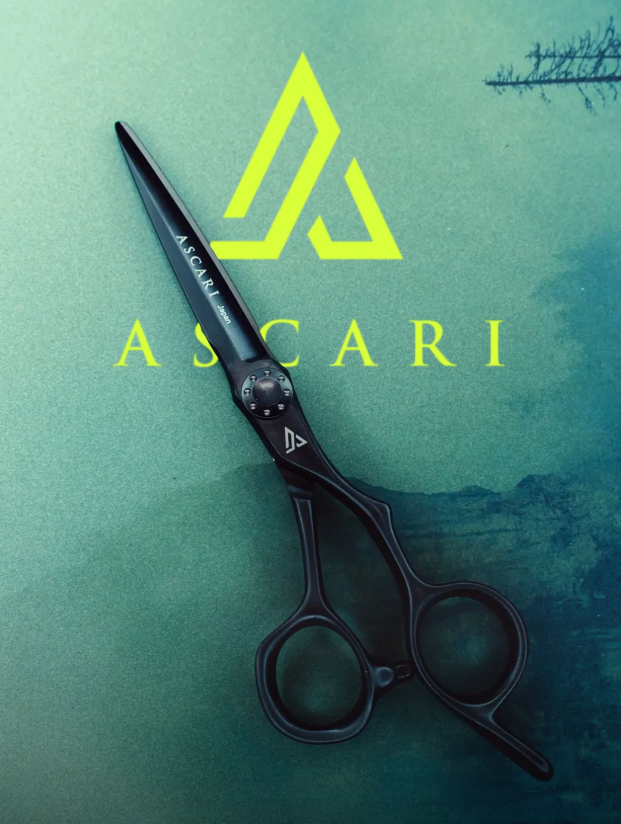 Ascari