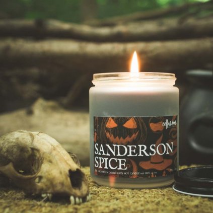 cellar door sanderson spice soy candle