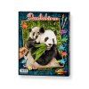 pandas 609240712 en 01(2)